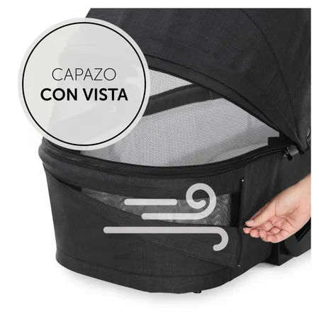Capazo para bebés con vistas