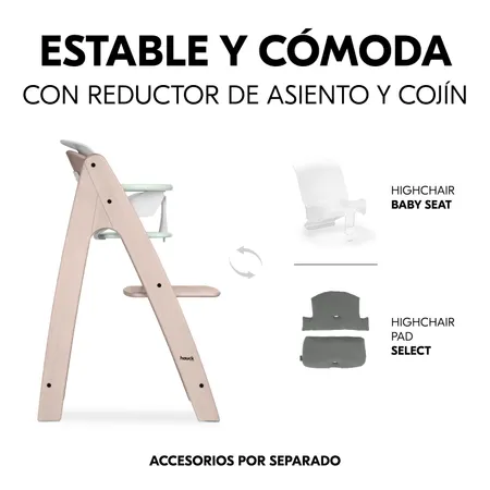 Robusta y cómoda con reductor de asiento y cojín
