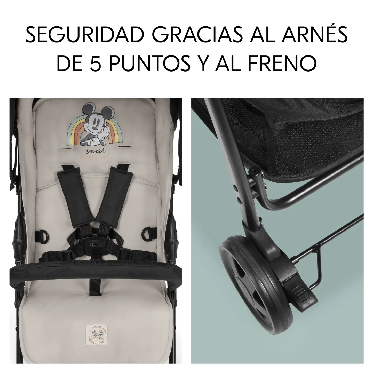 Sport