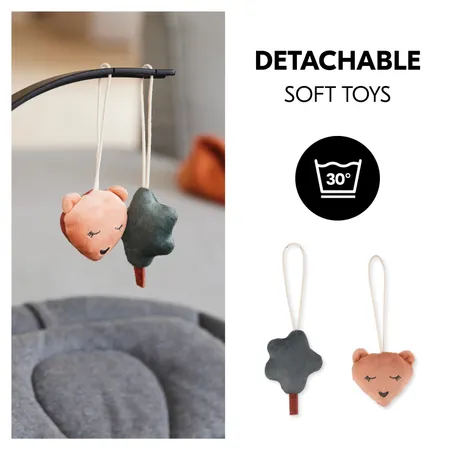 Removable plush toys
