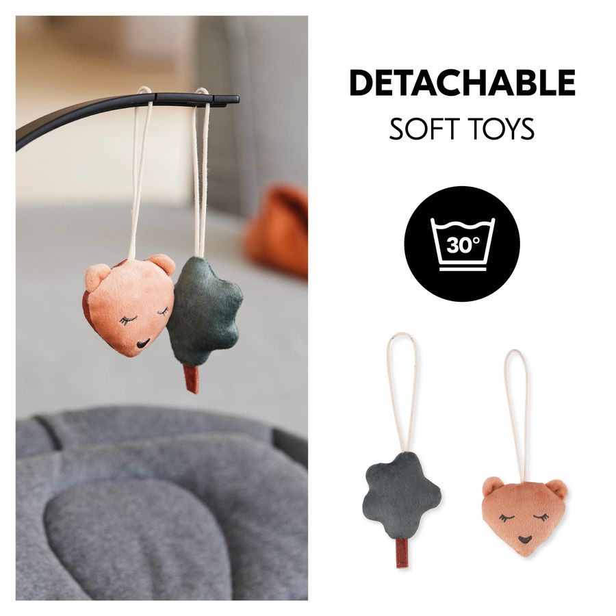 Removable plush toys