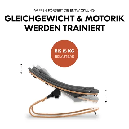 Highchair Bouncer Eco