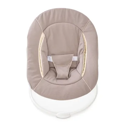Alpha Bouncer 2in1