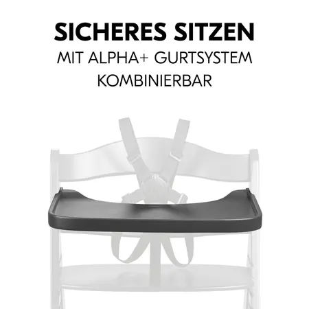 Sicheres Sitzen mit Essbrett und Gurtsystem
