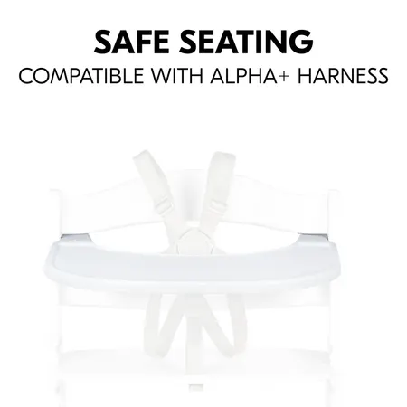 Safe seating position with tray and harness