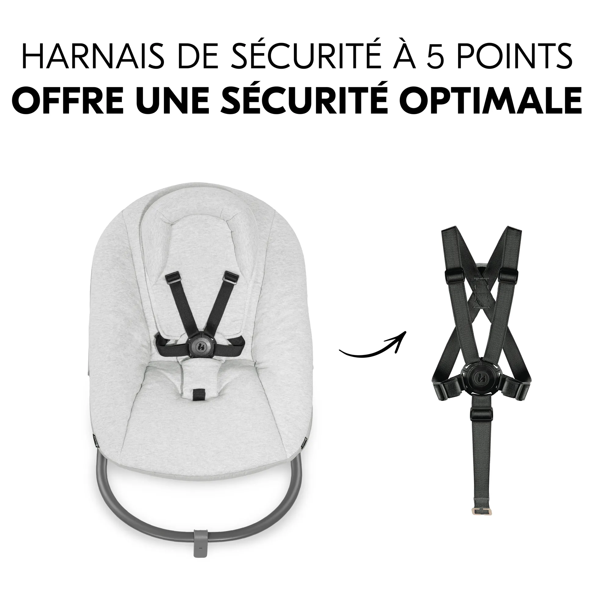 Alpha Bouncer Premium with 5-point harness