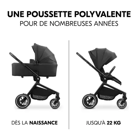 Un landau polyvalent pendant des ann&eacute;es