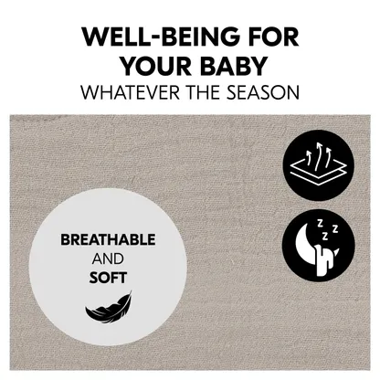 Baby Bouncer Cover