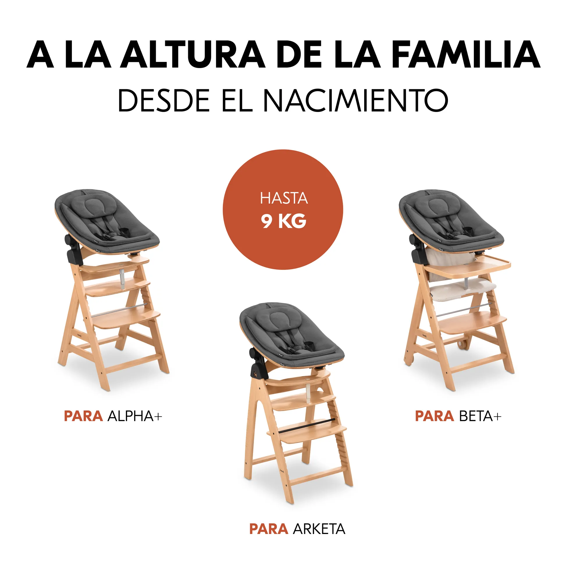 Highchair Bouncer Eco