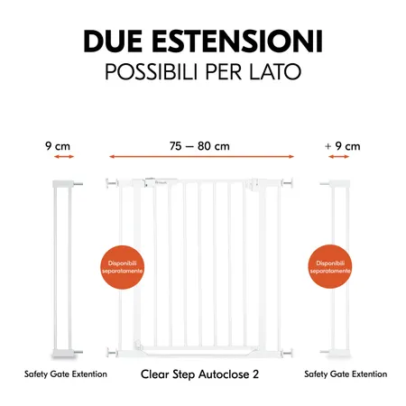 Due estensioni possibili per cancelletto