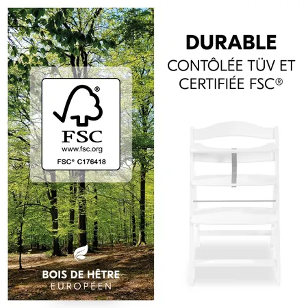 Bois de hêtre durable et certifié FSC®