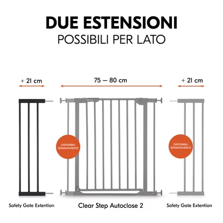 Due estensioni possibili per cancelletto