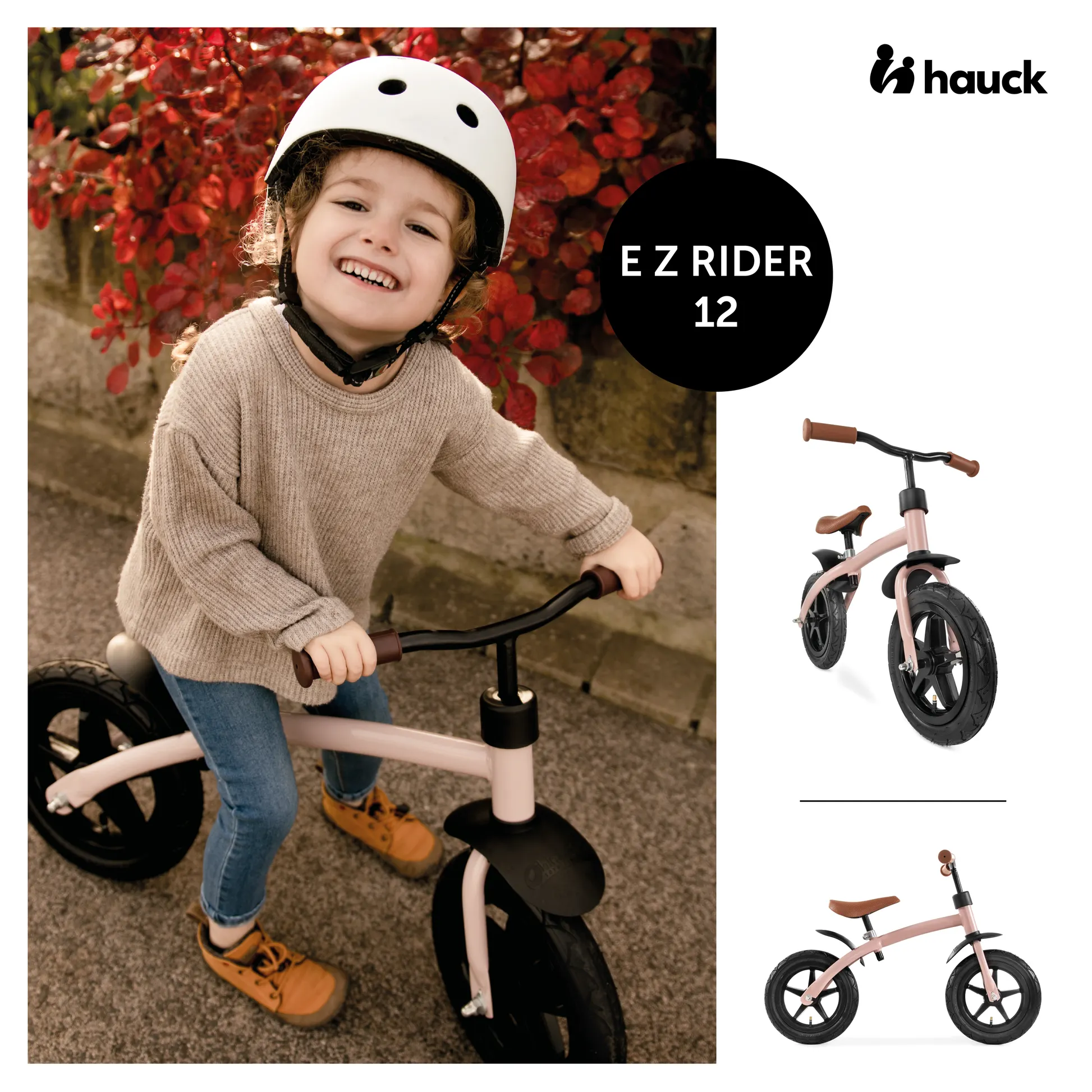 E Z Rider 12