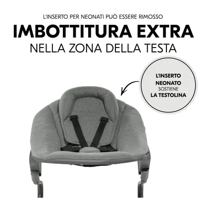 Alpha Bouncer Premium with 5-point harness