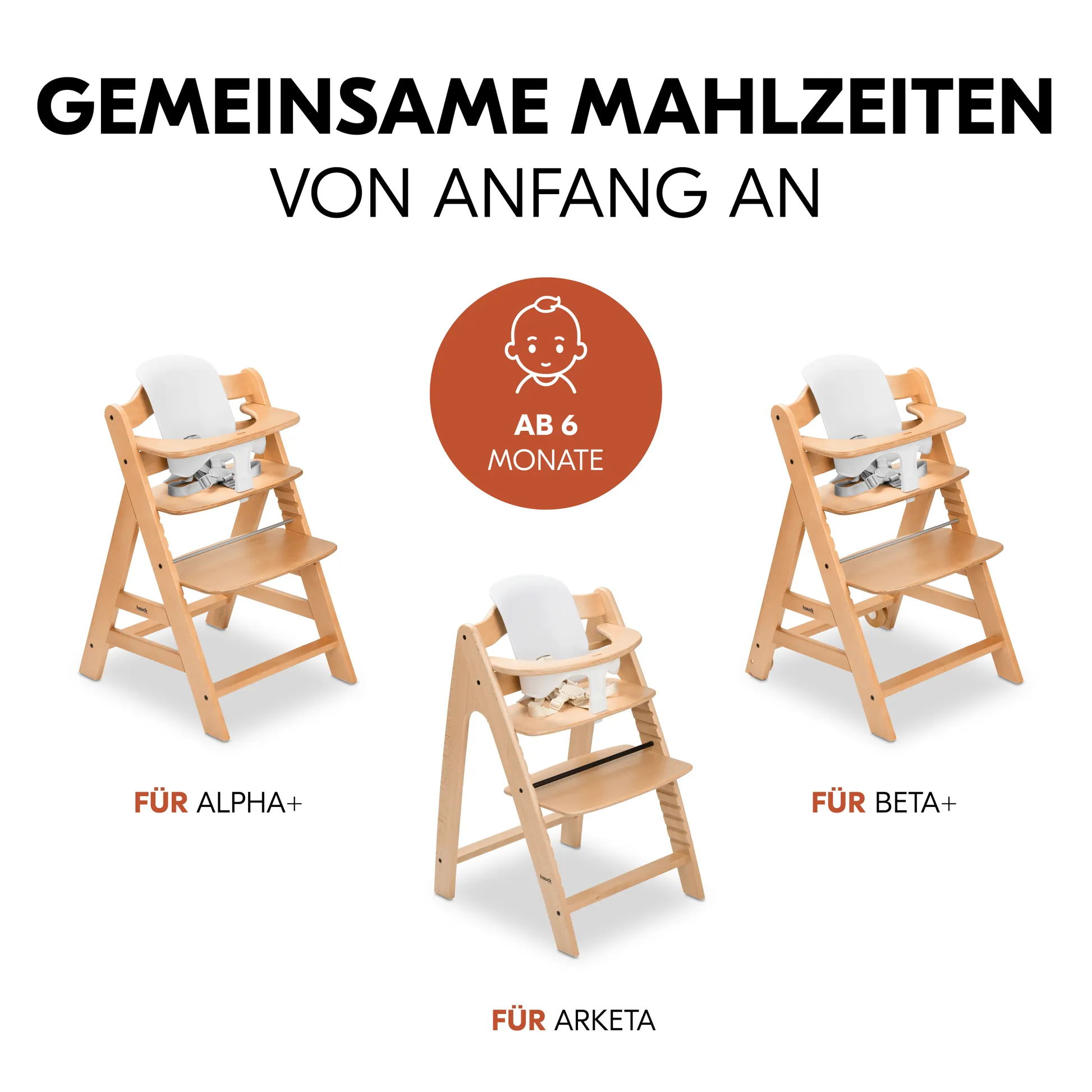 Highchair Baby Seat