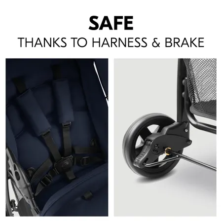 Seat belt and brake for safety