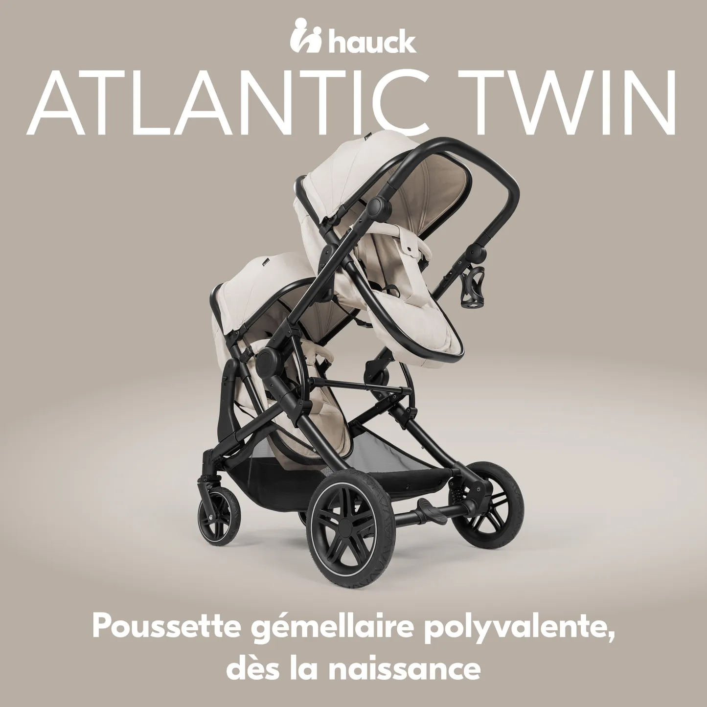 Atlantic Twin
