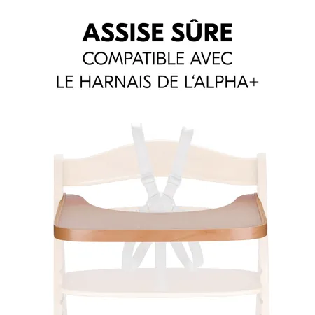 Assise sûre avec la tablette et le harnais