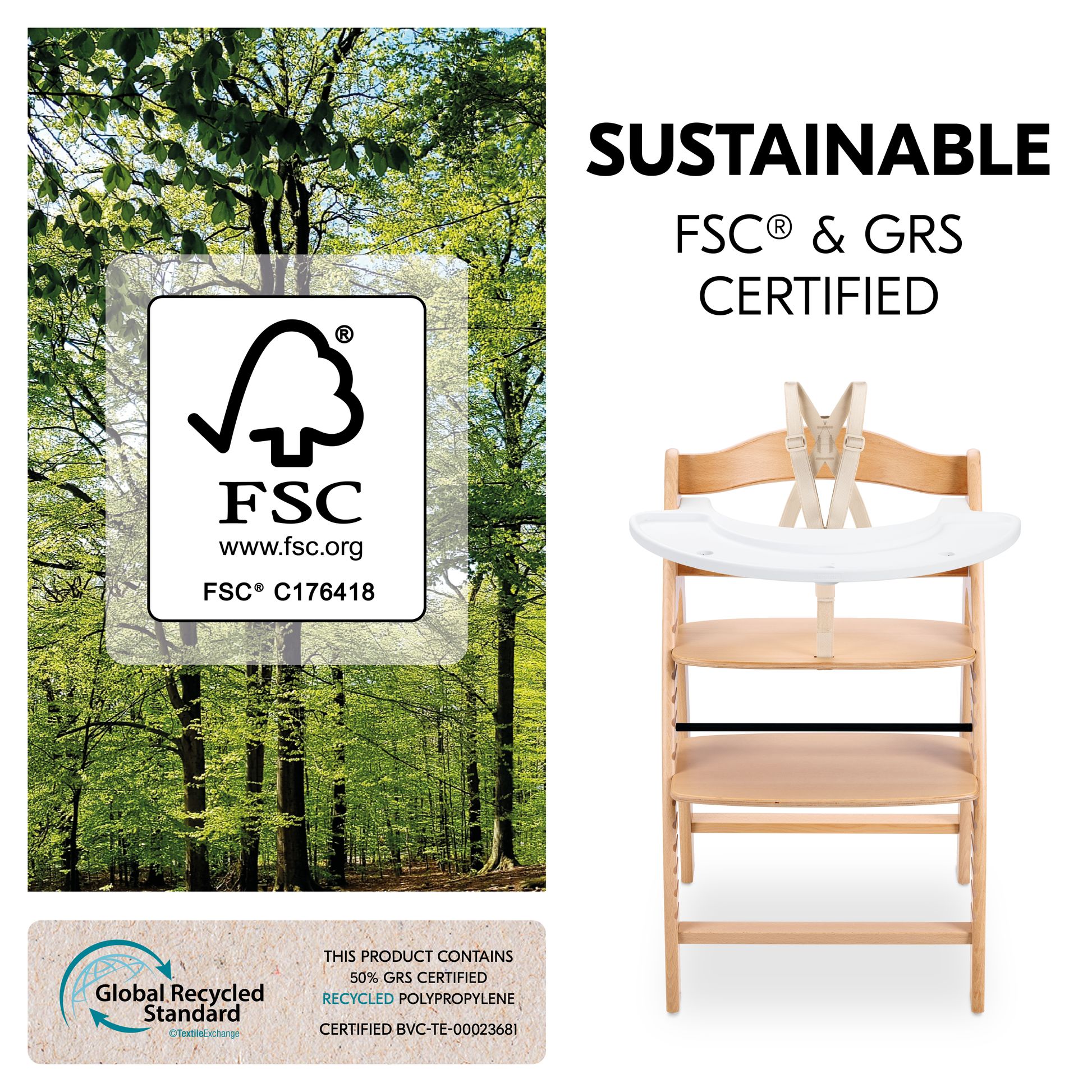 FSC-certified beech wood used for the Arketa