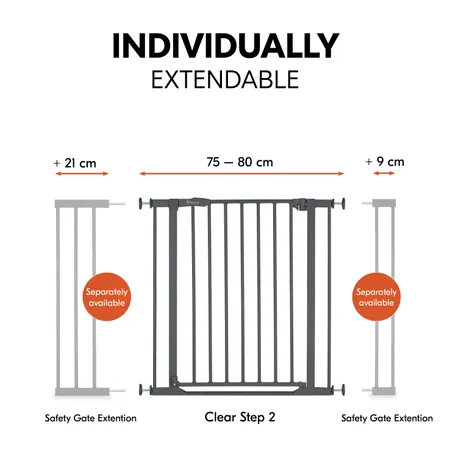 Expandable with separate extensions