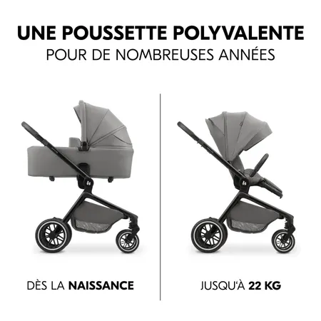 Un landau polyvalent pendant des ann&eacute;es