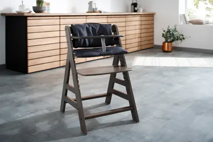 Highchair Pad Deluxe Disney