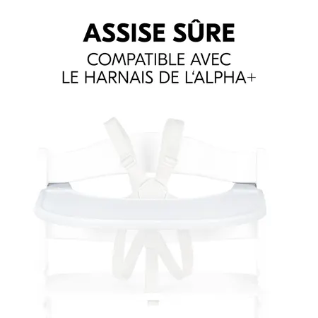 Assise sûre avec tablette et harnais de la chaise