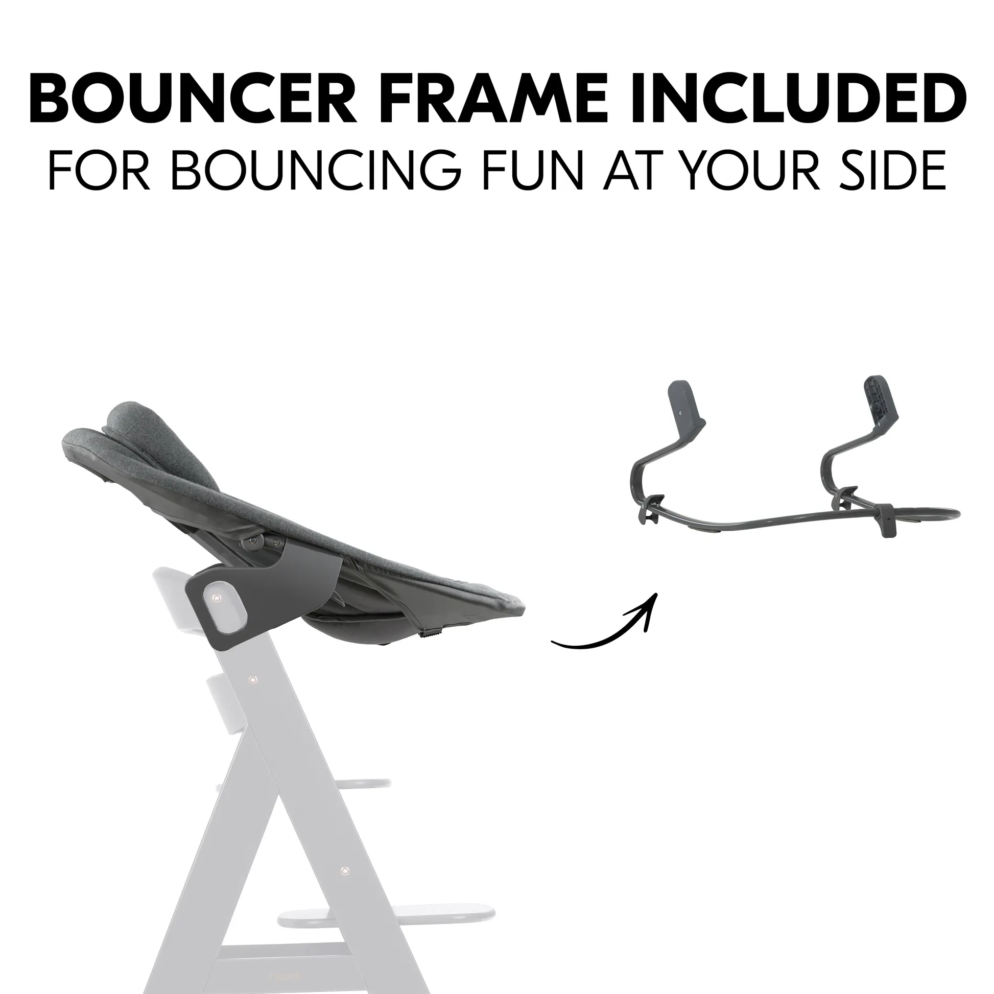 Alpha Bouncer Premium with 5-point harness