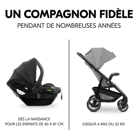 Compagnons fidèles pendant des années