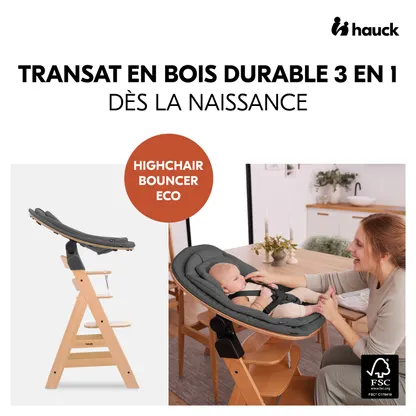 Highchair Bouncer Eco