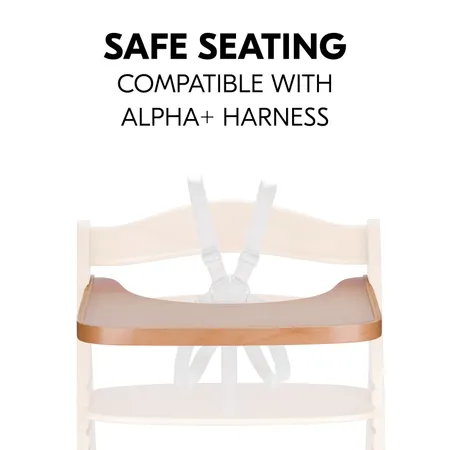 Safe seating in combination with the harness