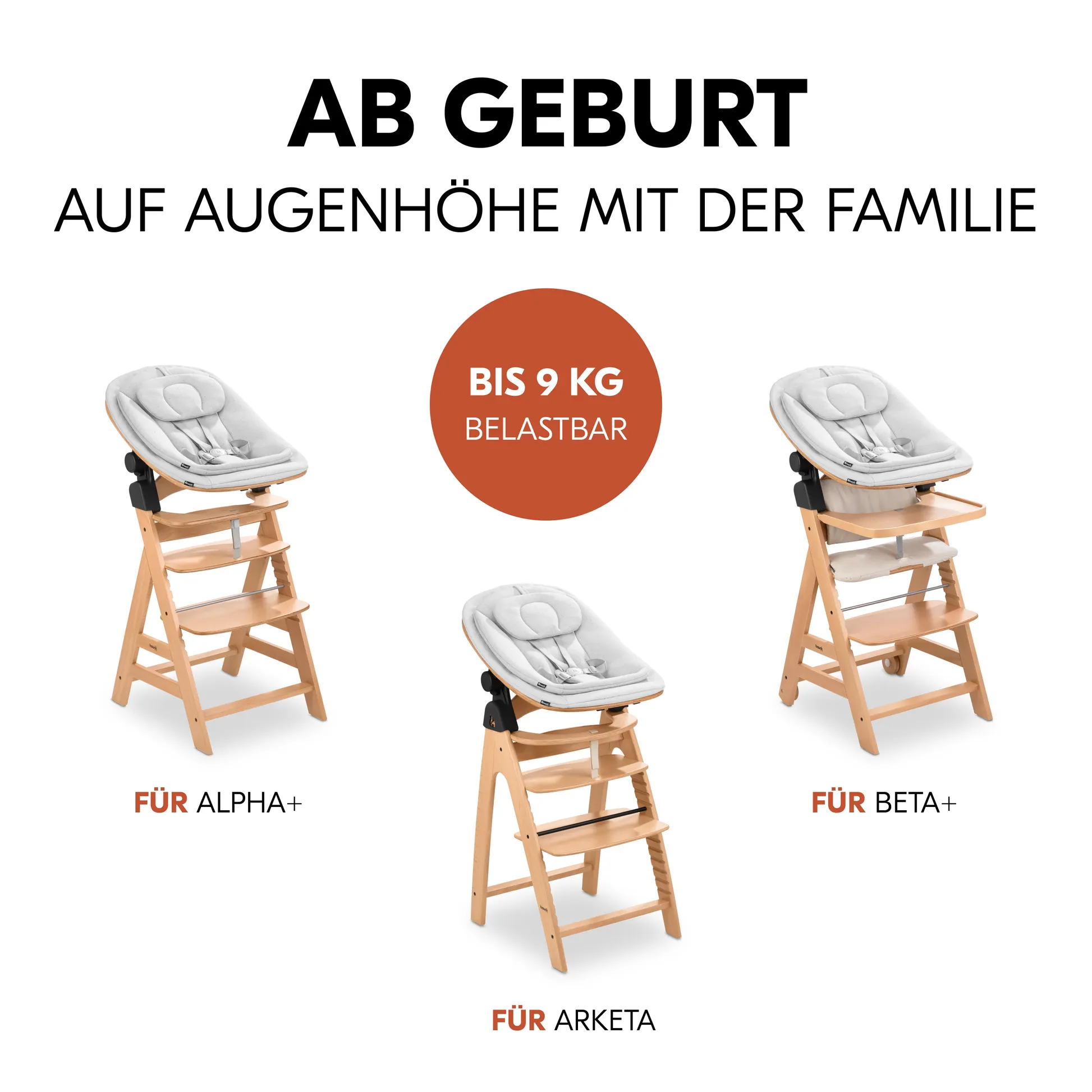 Highchair Bouncer Eco