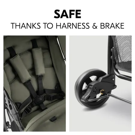 Seat belt and brake for safety