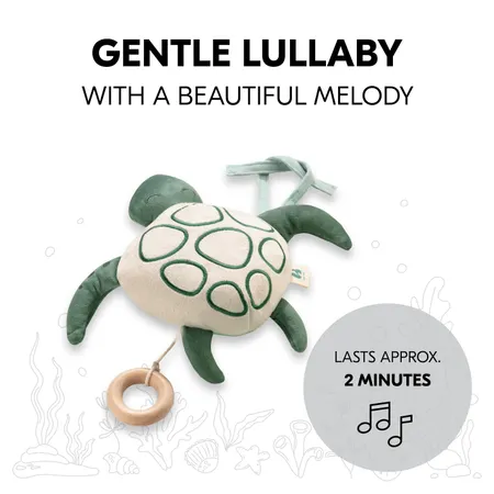 A gentle lullaby with a beautiful melody
