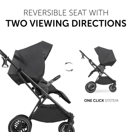 Reversible seat with two viewing directions