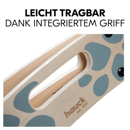 Leicht tragbar dank integriertem Griff