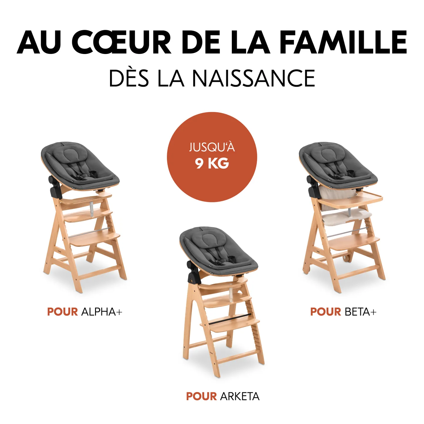 Highchair Bouncer Eco