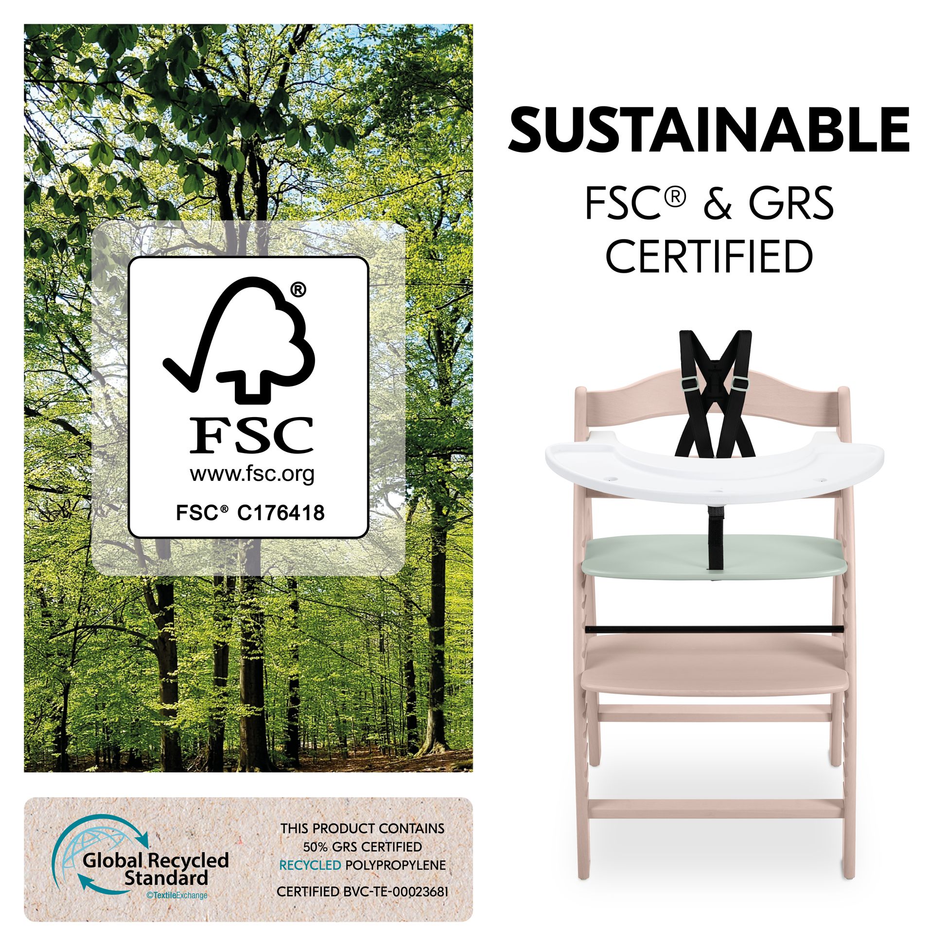 FSC-certified beech wood used for the Arketa