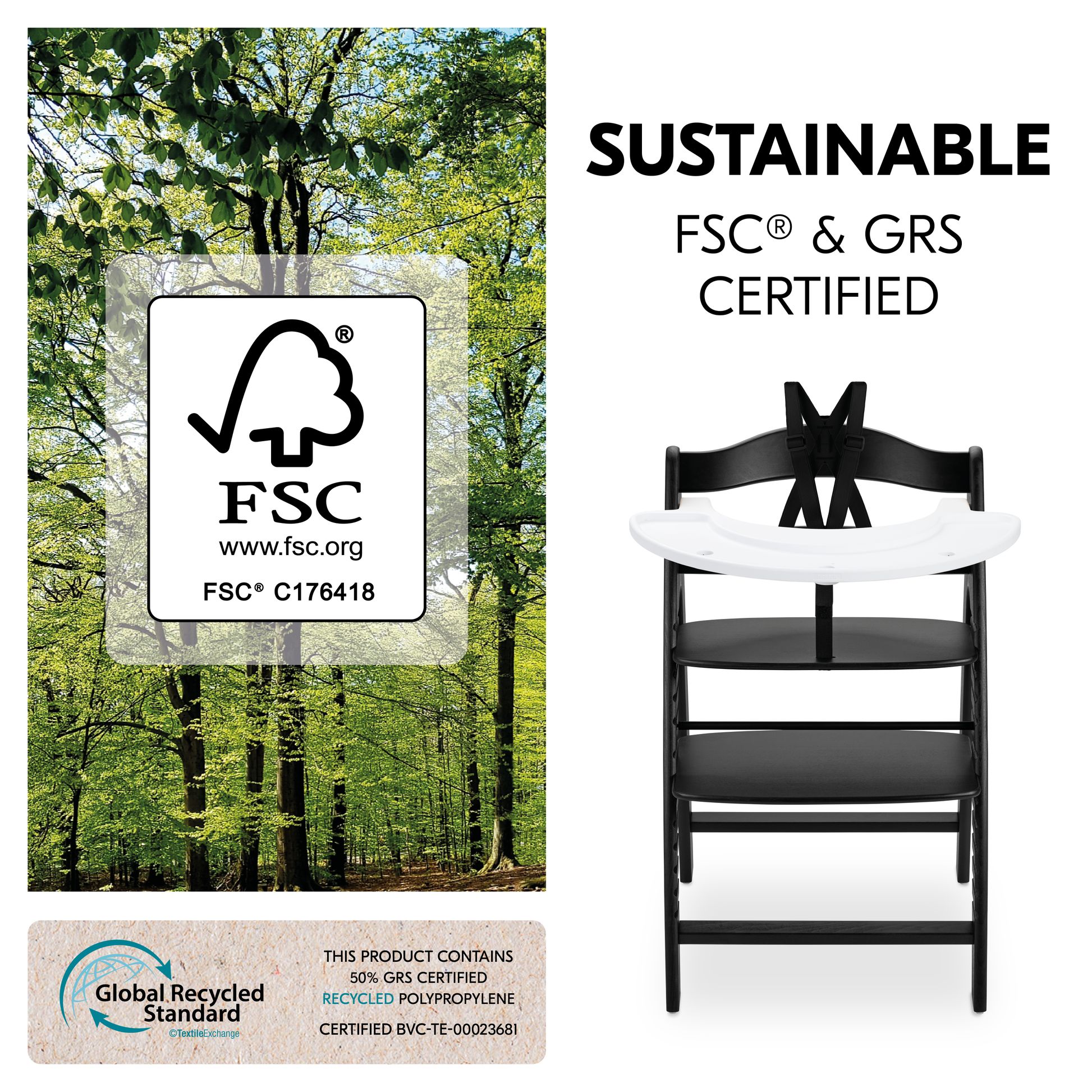 FSC-certified beech wood used for the Arketa