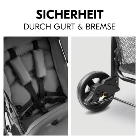 Sicherheit durch Gurt und Bremse