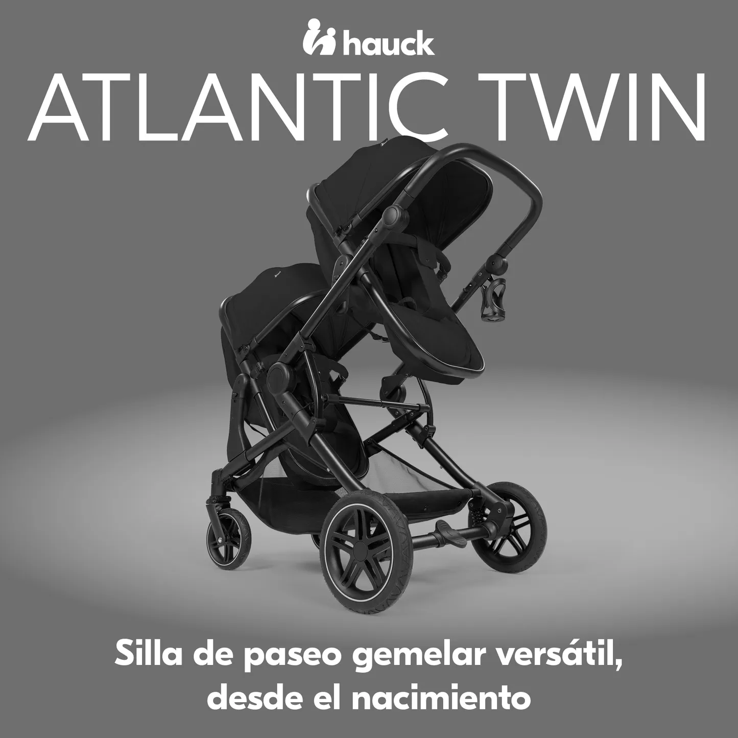 Atlantic Twin