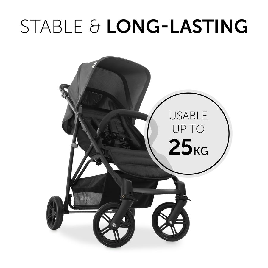 Stable and long-lasting companion