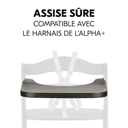 Assise sûre avec la tablette et le harnais