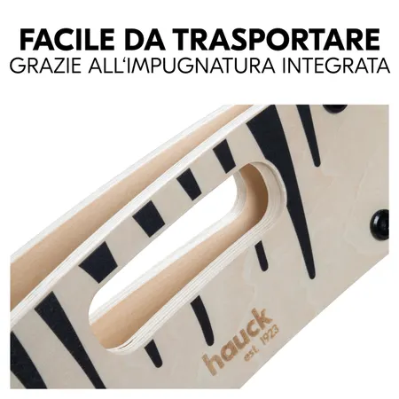 Facile da trasportare grazie all’impugnatura