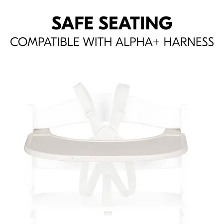 Safe seating position with tray and harness