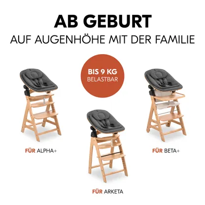 Highchair Bouncer Eco