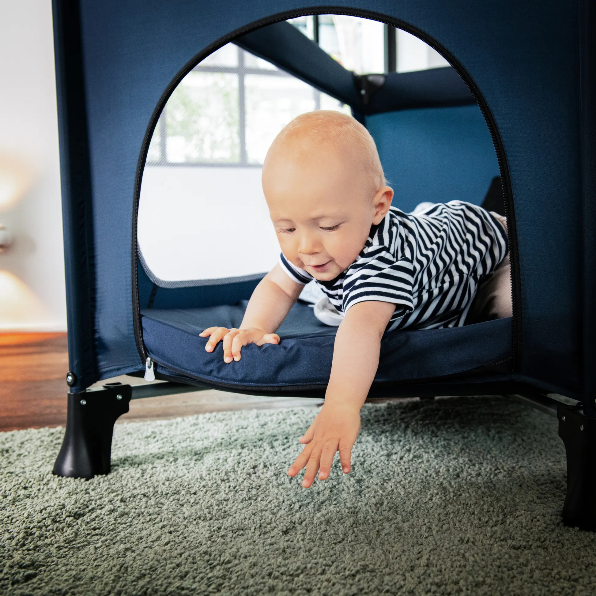 Dream N Play Plus