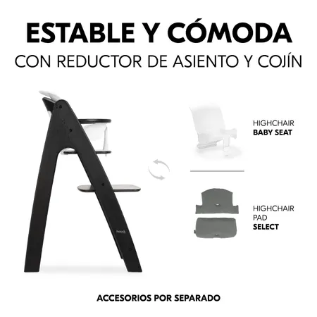 Robusta y cómoda con reductor de asiento y cojín
