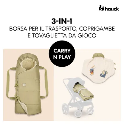 Carry N Play