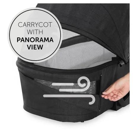 Carrycot with panorama view
